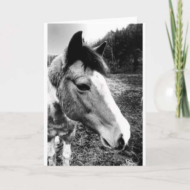 Horse Card (Front)