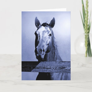 Horse Card