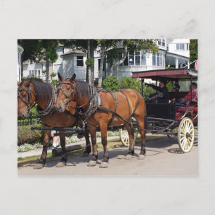 Horse & Carriage on Mackinac Island MI Postcard
