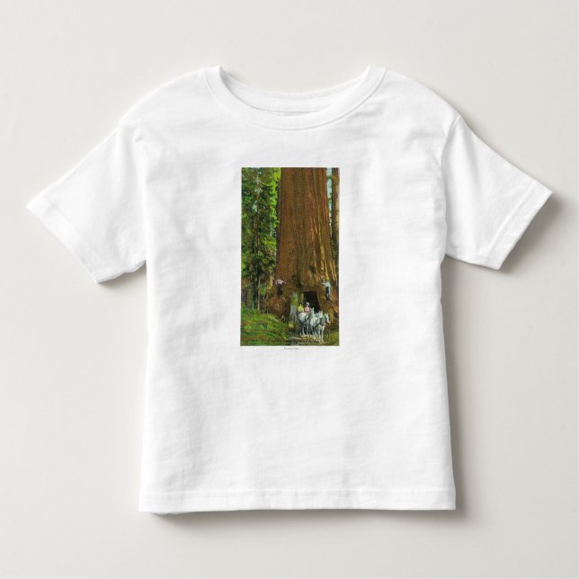 Horse Carriage Under a Giant Redwood Toddler T-Shirt (Front)
