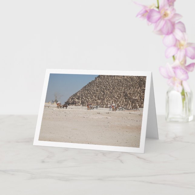 Horse Carriages At Giza, Cairo Card (Orchid)