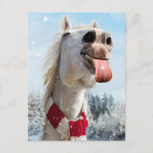 Horse Catching Snowflakes Invitation Postcard