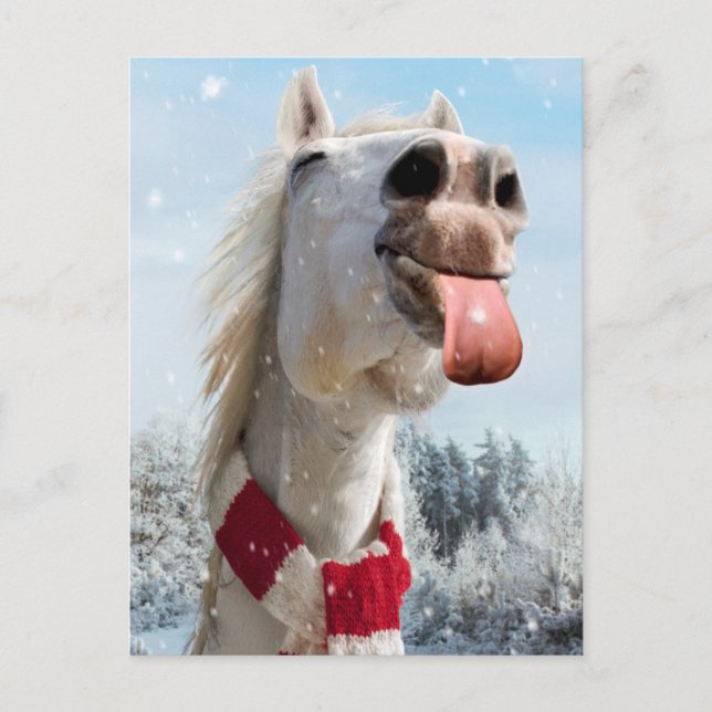 Horse Catching Snowflakes Invitation Postcard (Front)