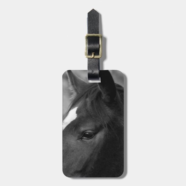 Horse cd ltcnm luggage tag (Front Vertical)