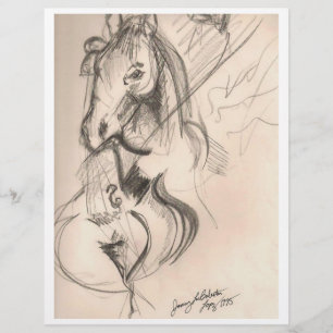 Horse Cello Drawing Flyer