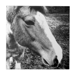 Horse Ceramic Tile