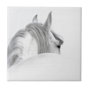 Horse Ceramic Tile