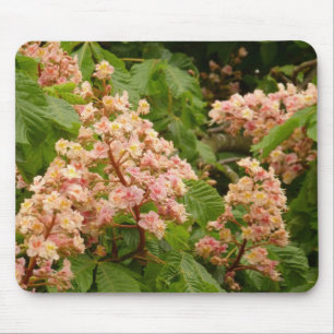 Horse Chestnut Blossom Mousepad