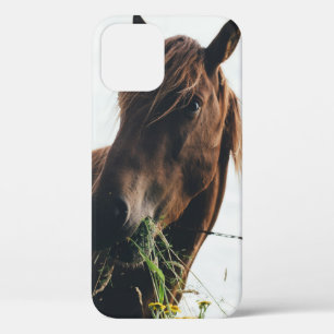HORSE CHEWING GRASS iPhone 12 CASE