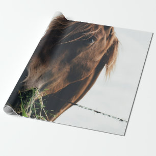 HORSE CHEWING GRASS WRAPPING PAPER