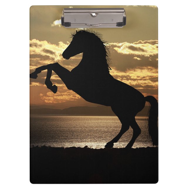 horse clipboard (Front)