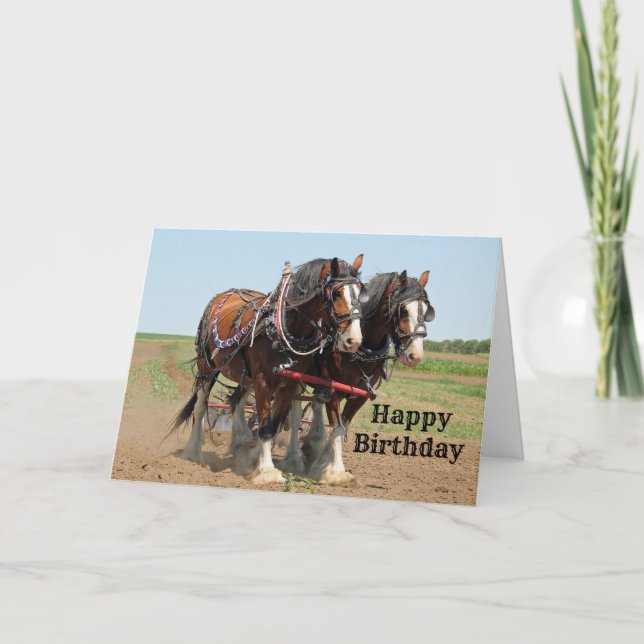 Horse Clydesdale Farming Photo Birthday Card (Front)