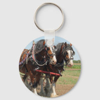 Horse Clydesdale Farming Photo