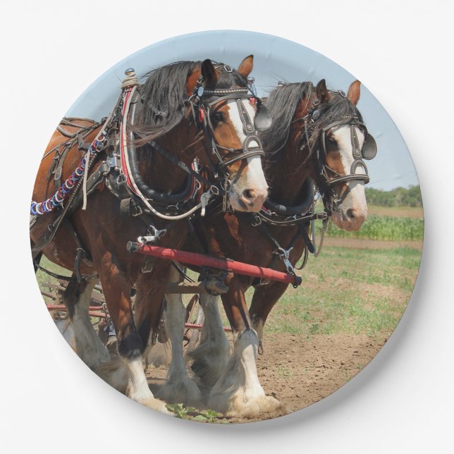 Horse Clydesdale Farming Photo Paper Plate (Front)