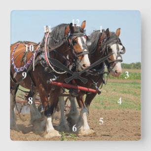 Horse Clydesdale Farming Photo Square Wall Clock