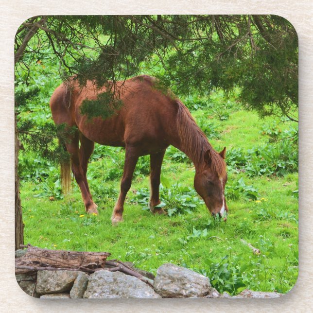Horse Coaster (Front)