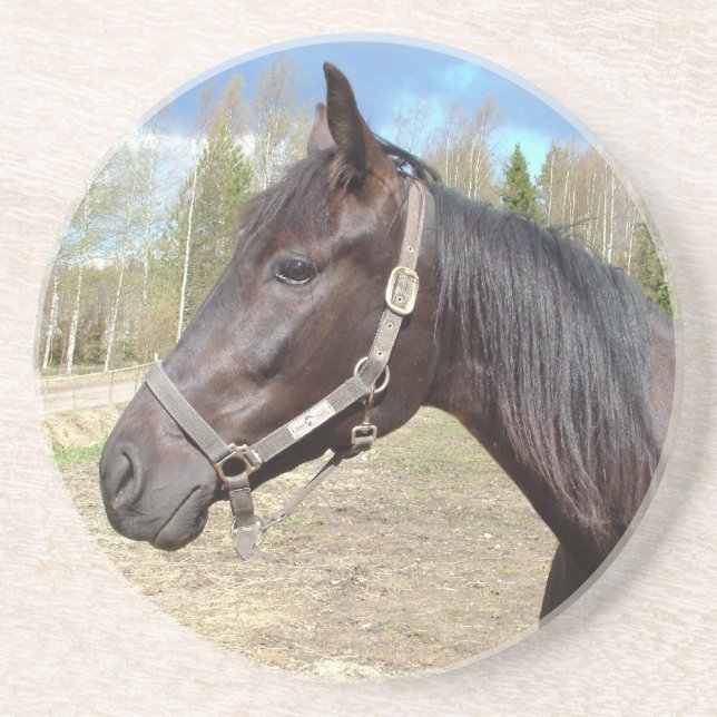 Horse coaster (Front)