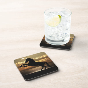 horse coaster