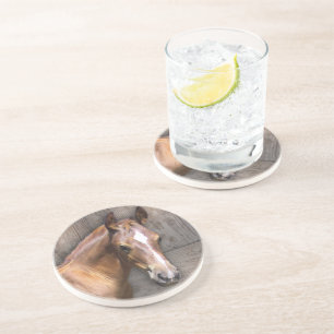 Horse Coaster