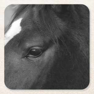 Horse coastercn square paper coaster