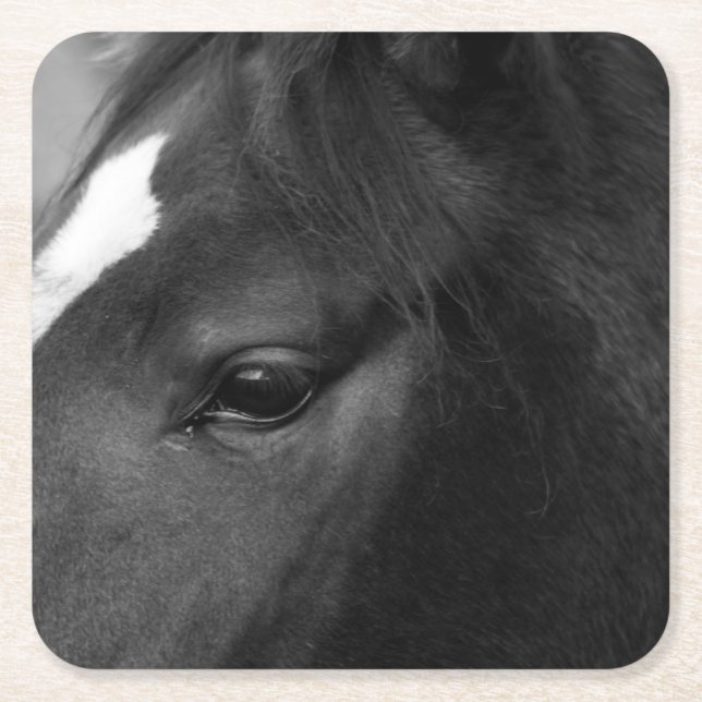 Horse coastercnm square paper coaster (Front)
