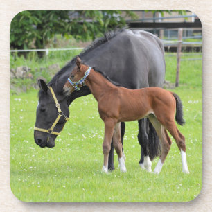 Horse coasters