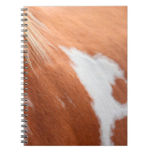 Horse coat animal equine tan notebook