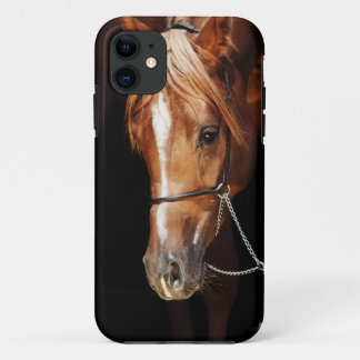 horse collection. arabian red cover for iPad air