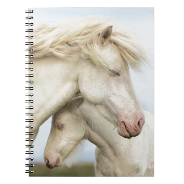 Horse collection notebook (Front)
