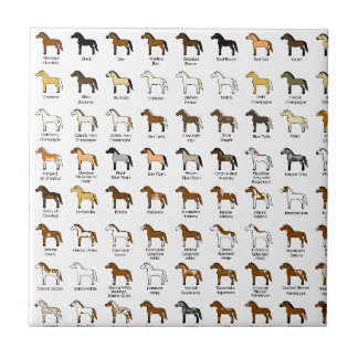 Horse Colors Tile
