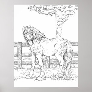 Horse Colouring Poster