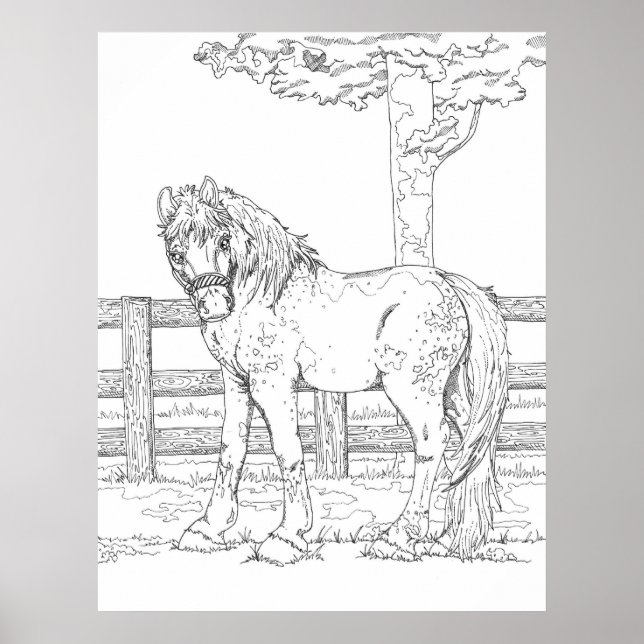 Horse Colouring Poster (Front)