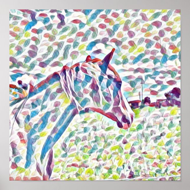 Horse Colours Of Life,  Poster (Front)