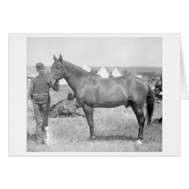Horse "Comanche" the sole Survivor of the Custer (Front Horizontal)