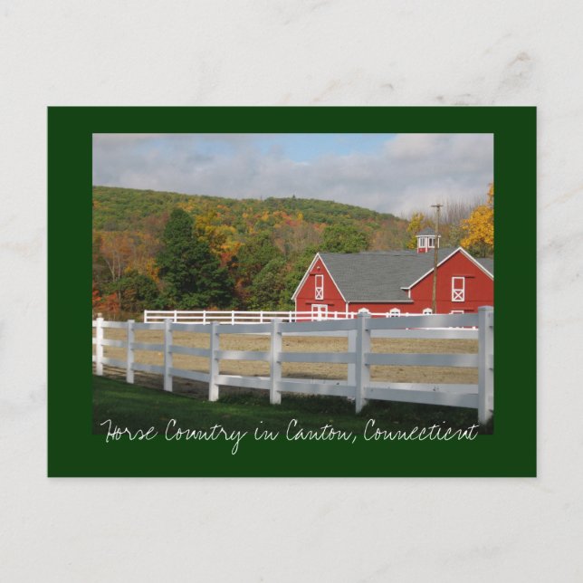 Horse Country in Canton Postcard (Front)