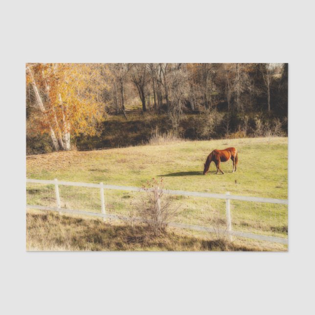 Horse Country Rustic Autumn Decoupage Tissue Paper (Front)