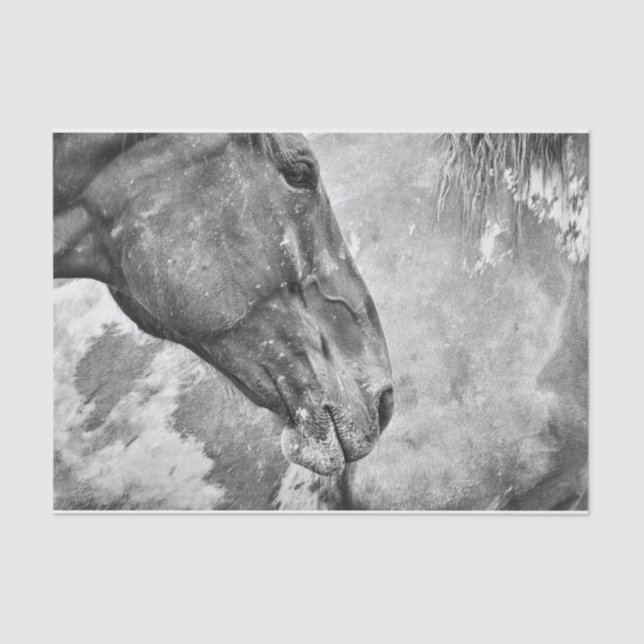 Horse Country Rustic Black And White Decoupage Tissue Paper (Front)