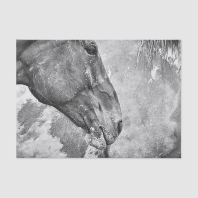 Horse Country Rustic Black And White Decoupage Tissue Paper (Front)