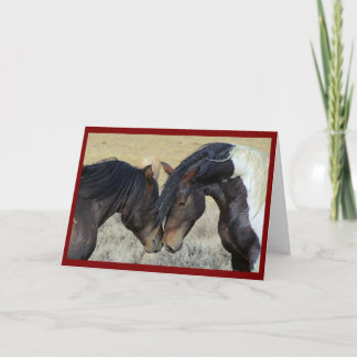 Horse Couple Anniversary Greeting Card