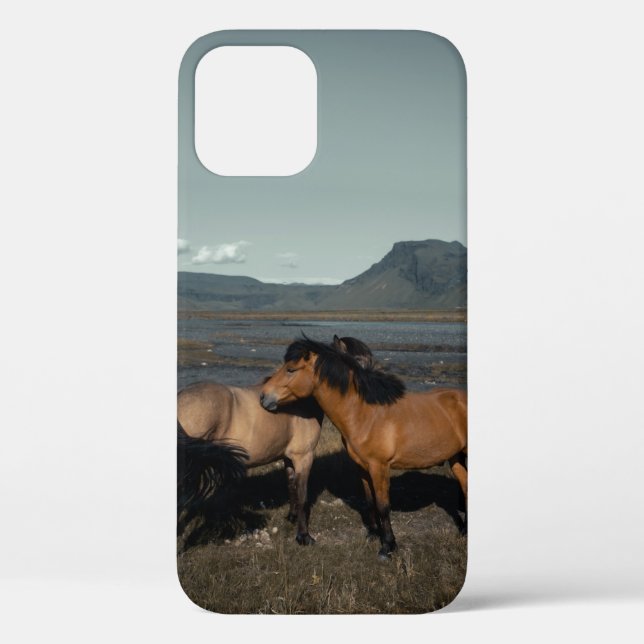 HORSE COUPLE Case-Mate iPhone CASE (Back)