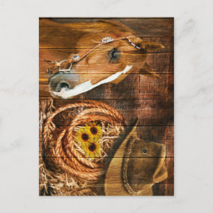 Horse Cowboy Hat Lasso Sunflower Rustic Barn Board Postcard