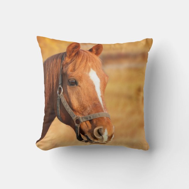 Horse Cushion (Front)
