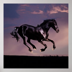 Horse dance at sunset poster
