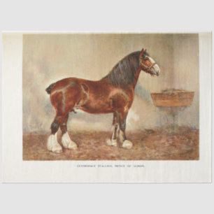 Horse Decoupage Vintage Clydesdale Stallion Tissue Paper
