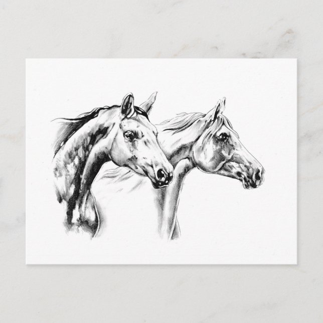 Horse drawing sketch art handmade postcard (Front)