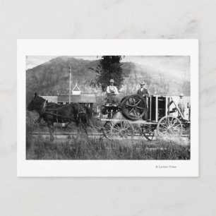 Horse Drawn Cart Postcard