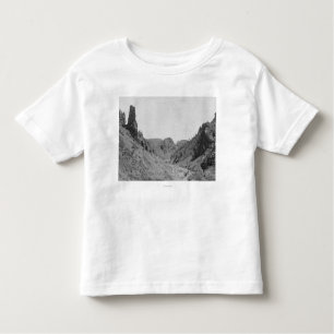 Horse-Drawn Coach in Phantom Ridge Photograph Toddler T-Shirt