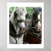 Horse Drawn