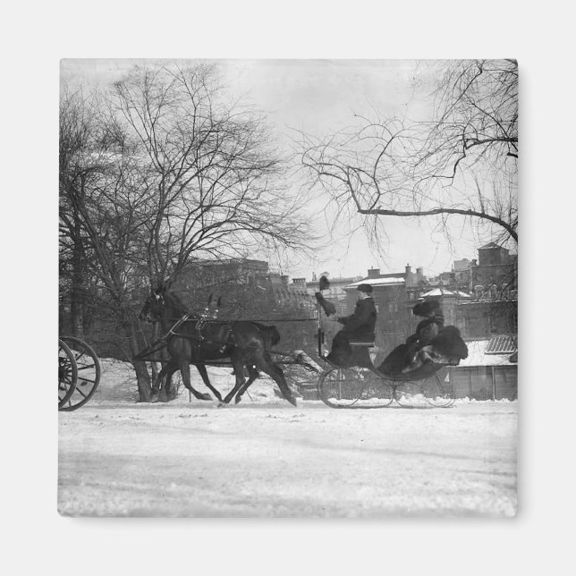 Horse Drawn Sleigh NYC Magnet (Front)