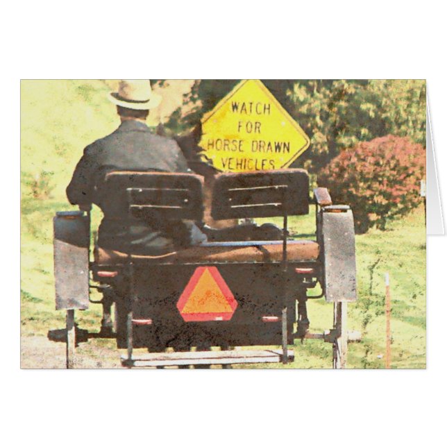 Horse Drawn Vechicles, Amish Horse and Buggy (Front Horizontal)
